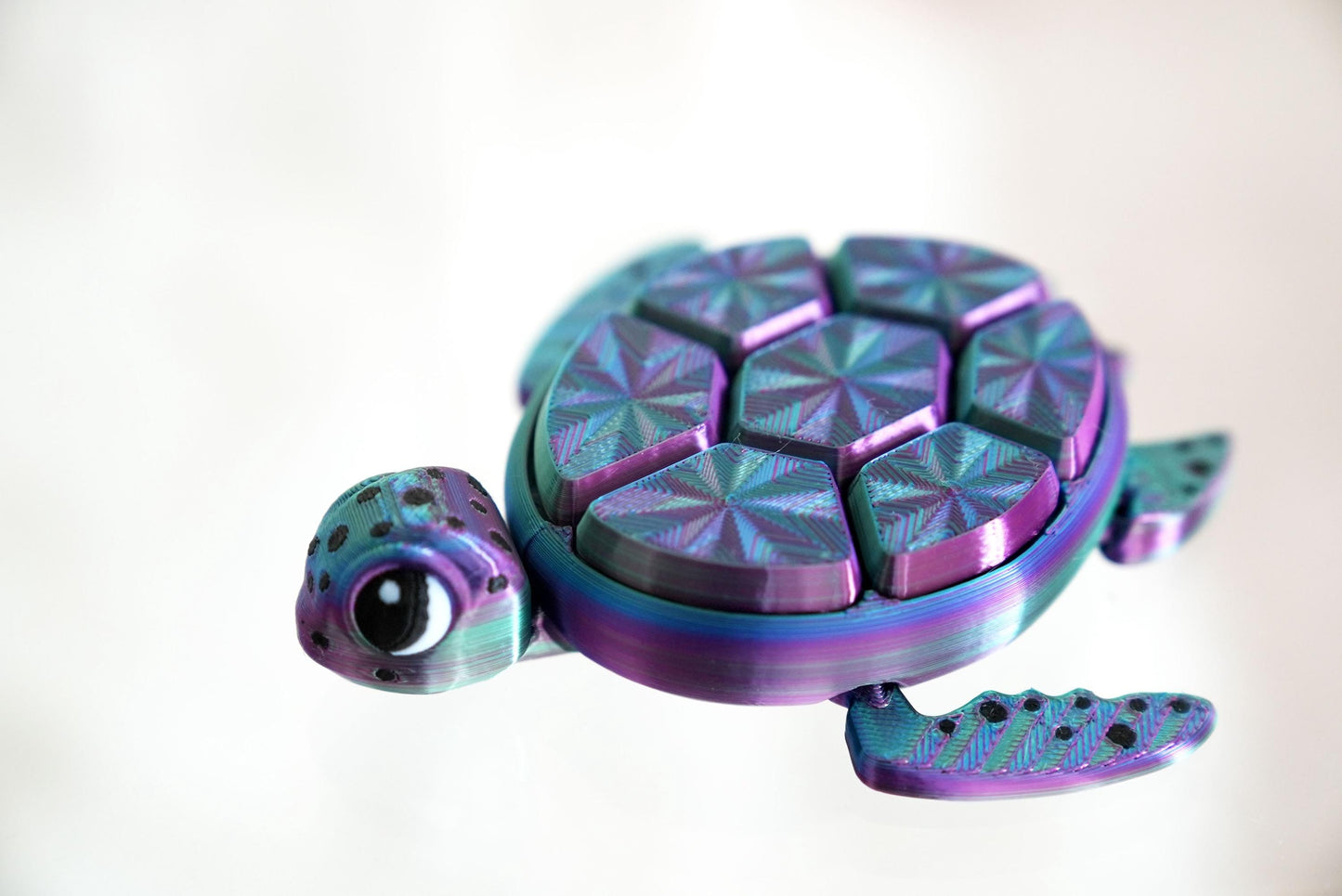 Turtle Fidget Clicker Sensory Toy | Autism and ADHD Support | Stress and Anxiety Relief | Autism Toys