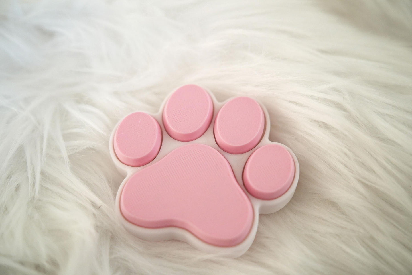 Closeup of Cat Paw Clicker Fidget