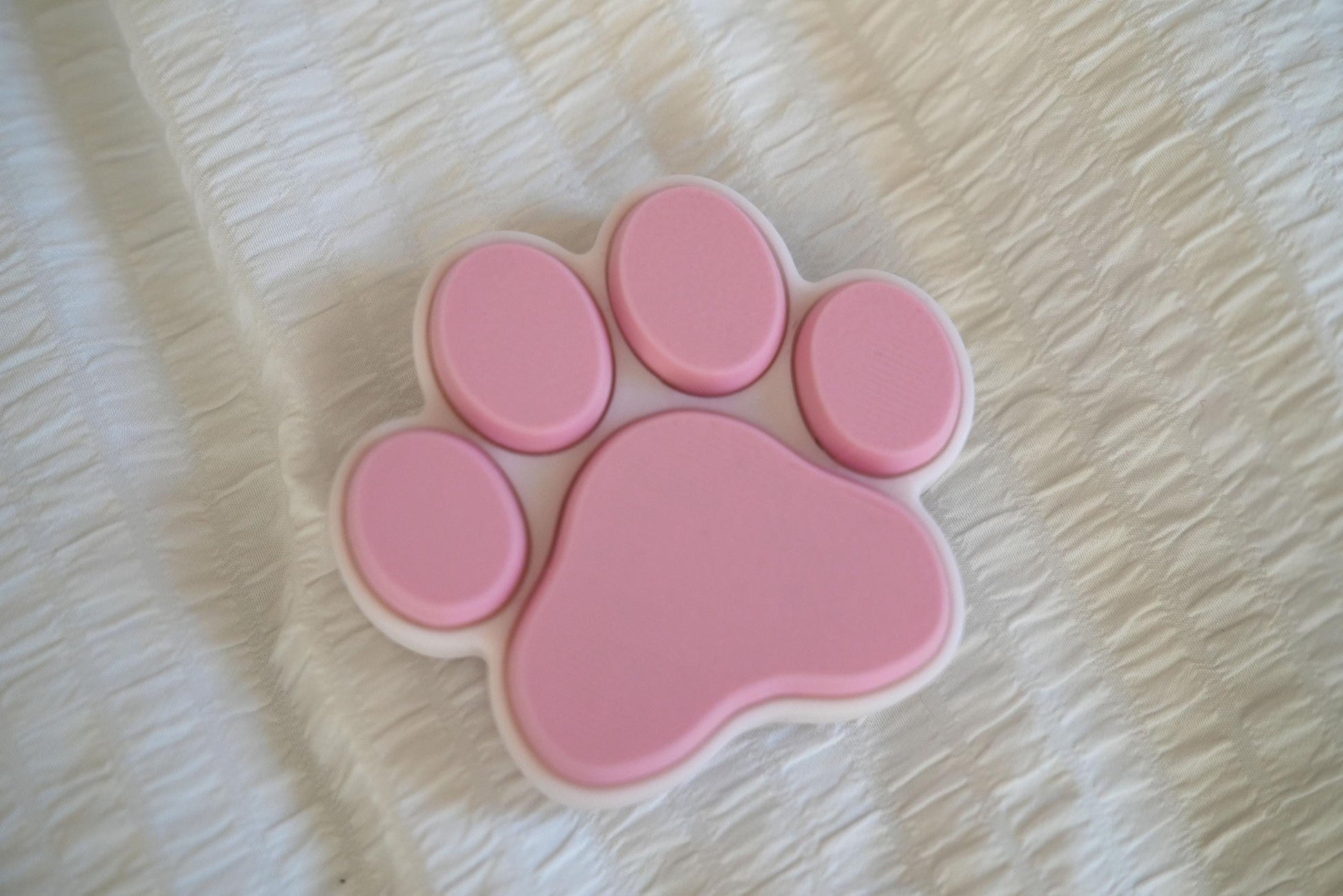 Cat Paw and Toe Beans Desk Fidget | Cat Paw Mechanical Clicker | Keyboard Stim Toy | ADHD, Sensory, ASMR Gift for Vet Tech and Pet Lovers