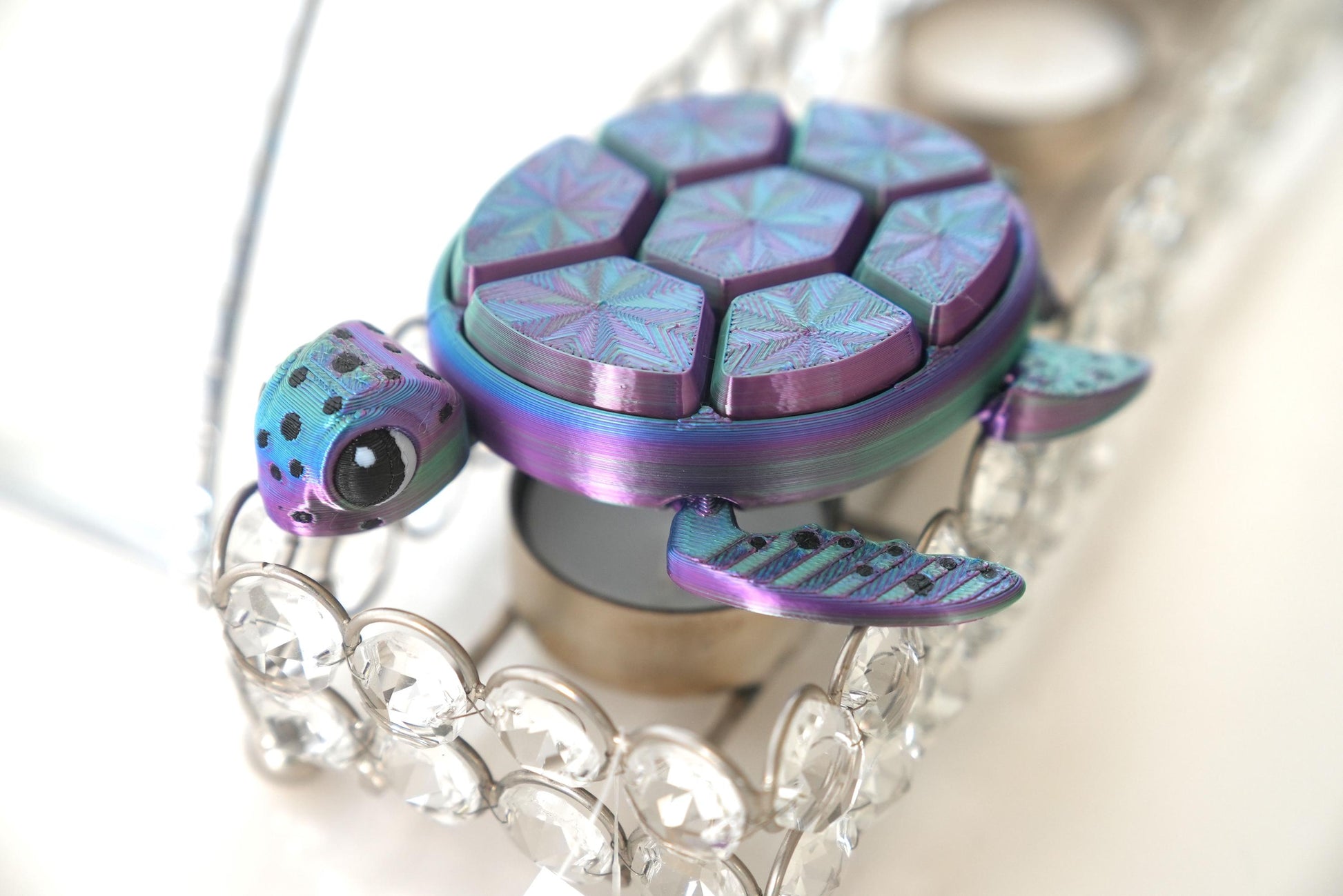 Turtle Fidget Clicker Sensory Toy | Autism and ADHD Support | Stress and Anxiety Relief | Autism Toys