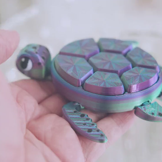 Turtle Fidget Clicker Sensory Toy | Autism and ADHD Support | Stress and Anxiety Relief | Autism Toys